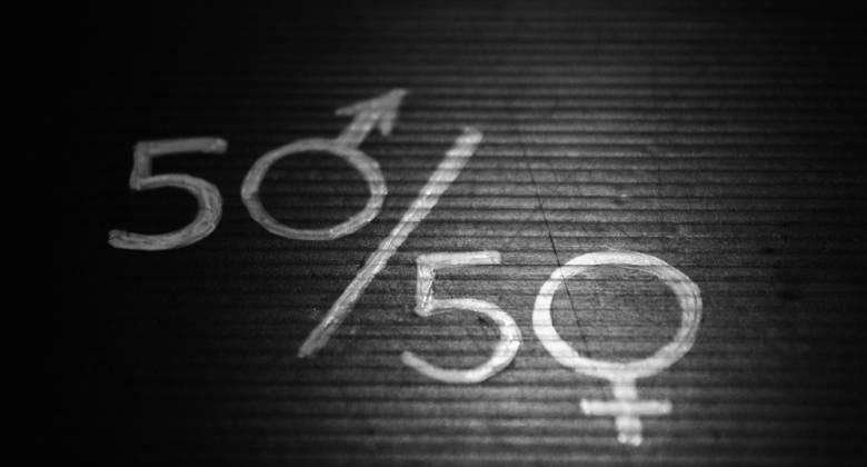 Index égalité Femmes Hommes PINET Industrie