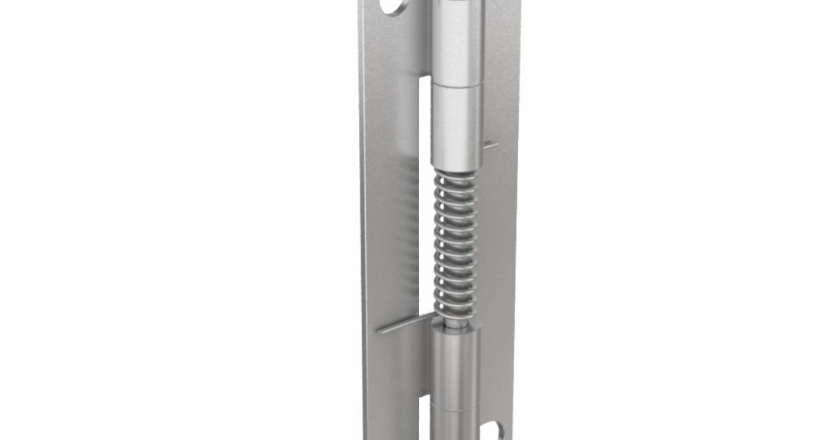 Spring hinges 50 mm long