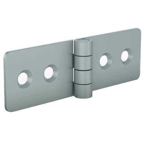 Hinge 20 x 65 mm