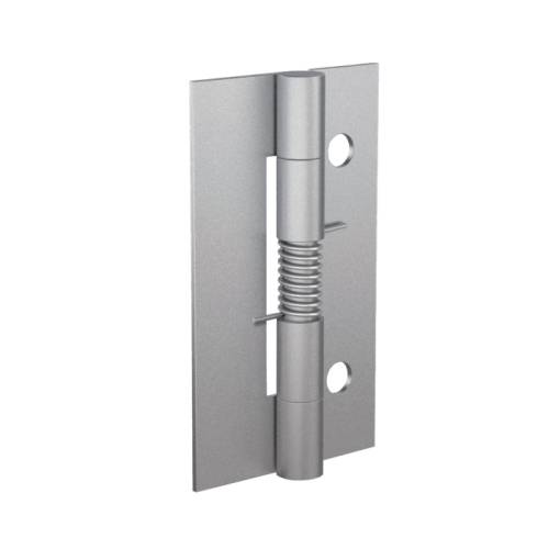 Cerniere a molla lunghe 60 mm - con 2 fori