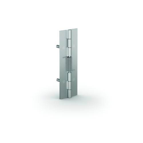 Cerniere di apertura a molla lunghe 120 mm